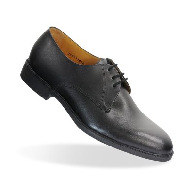 Chaussure Prestige Homme